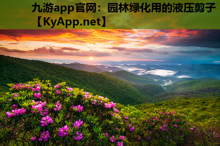 九游app官网：园林绿化用的液压剪子