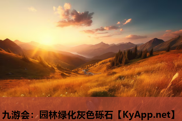 九游会：园林绿化灰色砾石