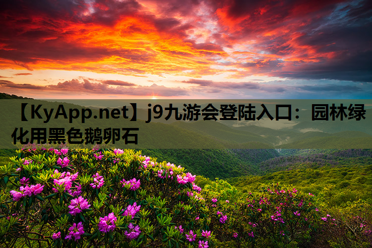 j9九游会登陆入口：园林绿化用黑色鹅卵石