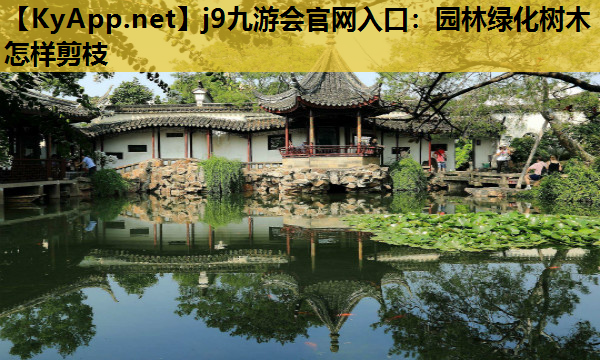 j9九游会官网入口：园林绿化树木怎样剪枝