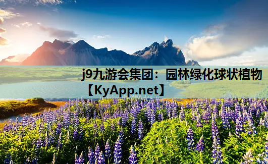 j9九游会集团：园林绿化球状植物