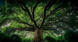 园林绿化种植养护冬季