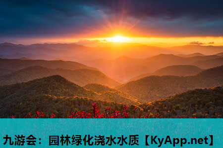 园林绿化浇水水质