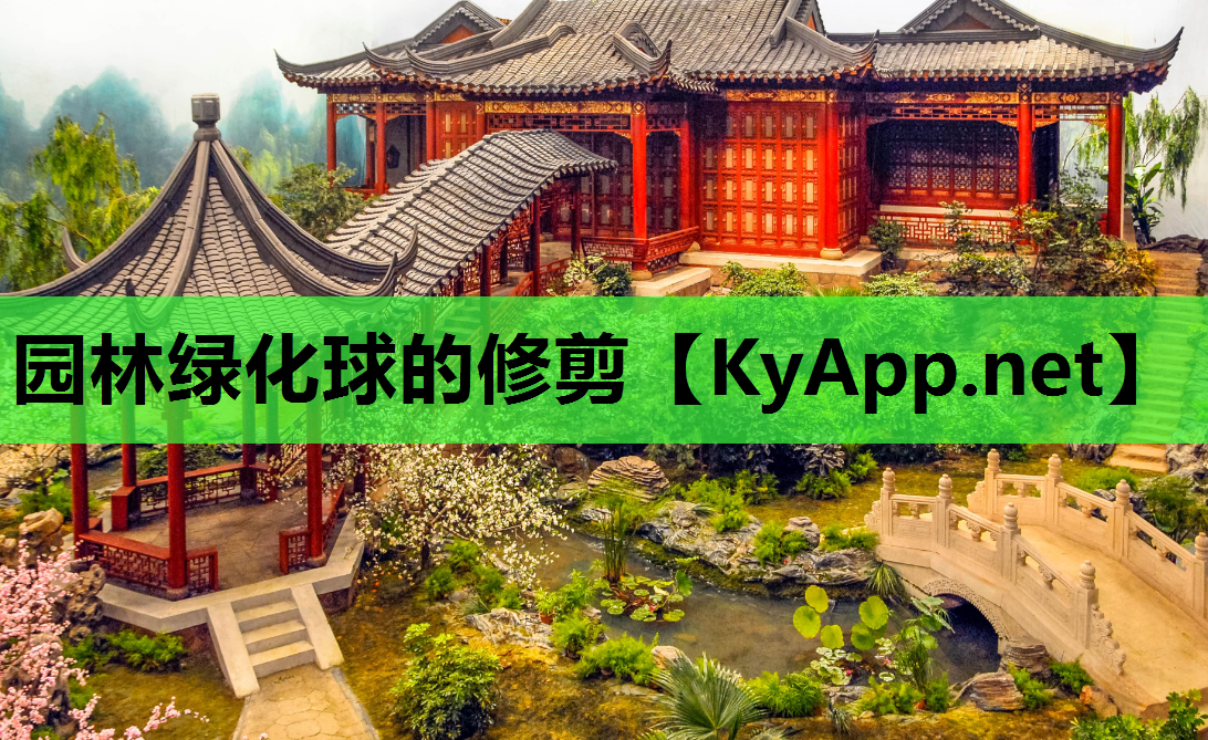 园林绿化球的修剪